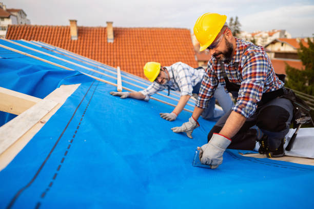 Roof Gutter Cleaning in Little Rock, AR
